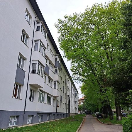 Amda Studio Onesti Zewnętrze zdjęcie